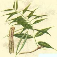 供应香加皮提取物